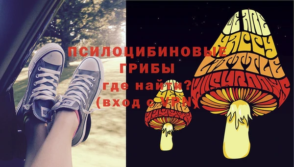мдпв Дмитровск